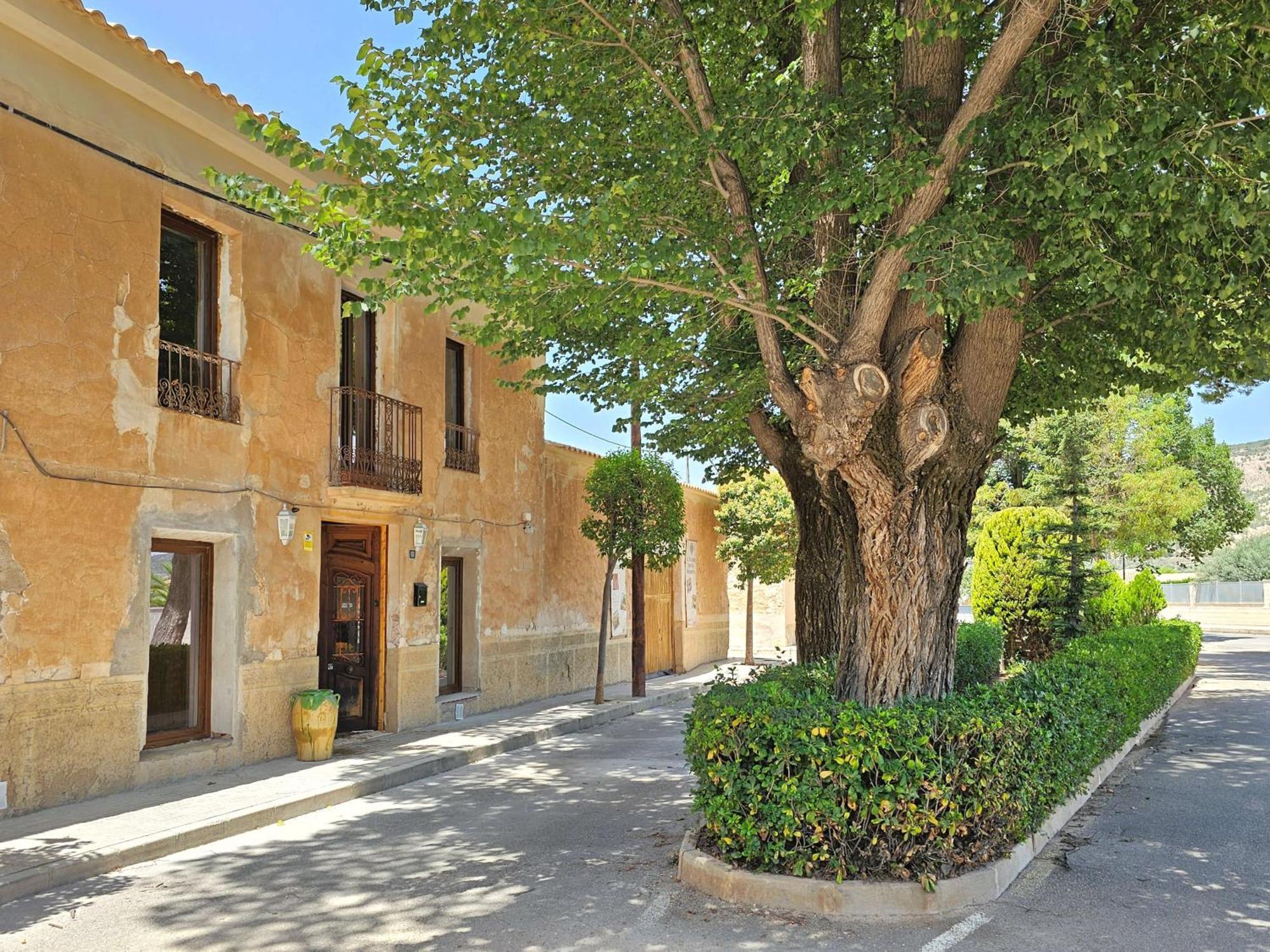 Bed and Breakfast Casa Rodriguillo El Pinós Exterior foto